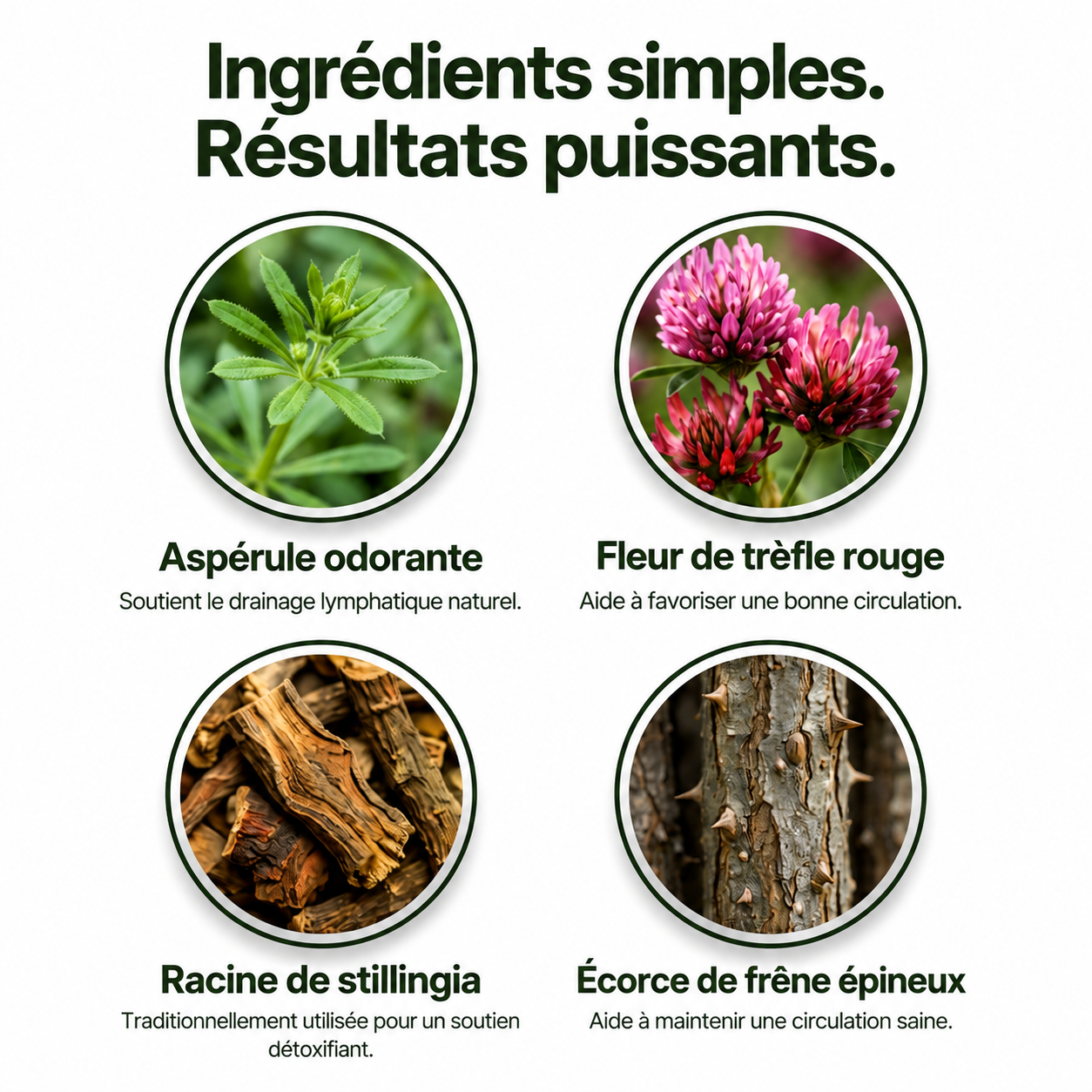 Gouttes de Drainage Lymphatique